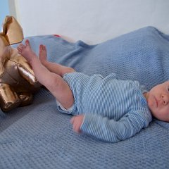 IMG 558